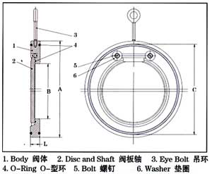 zhihuif2-11.jpg